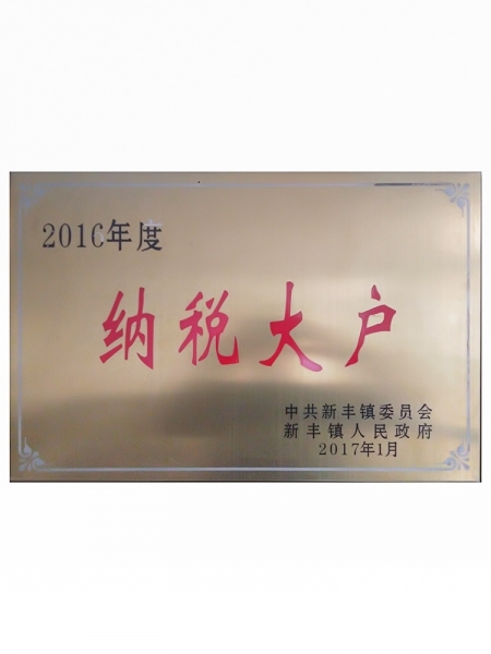 2016年度納稅大戶(hù)